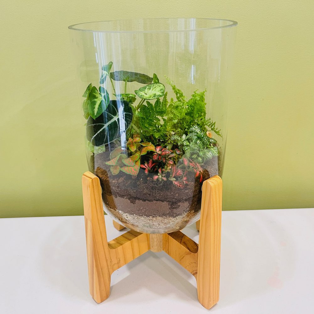 Large open terrarium with wooden base